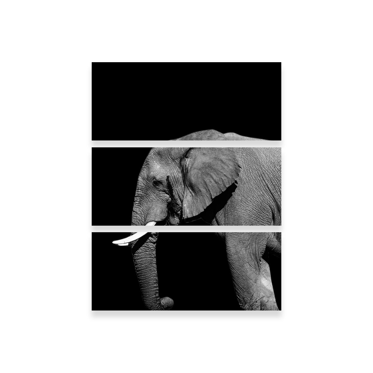 Elephant Wall Art