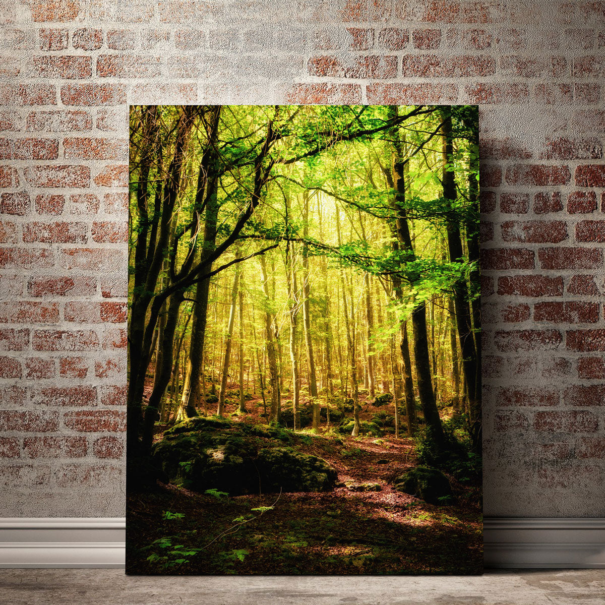 Enchanting Forest Vol. 1 Wall Art