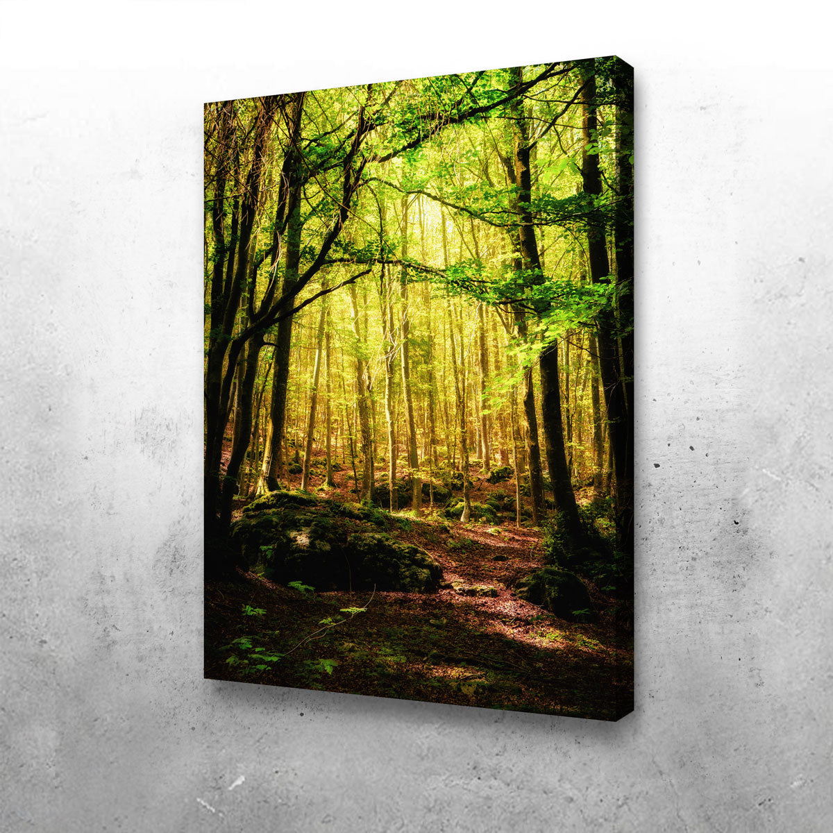 Enchanting Forest Vol. 1 Wall Art