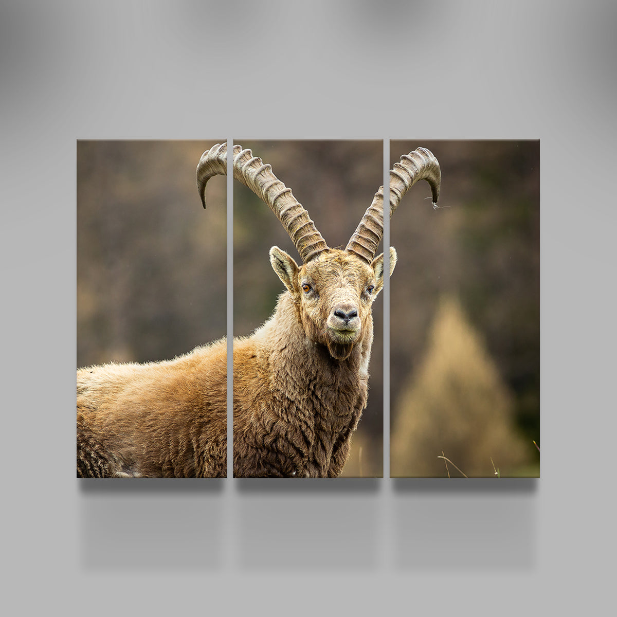 Face à Face Wall Art