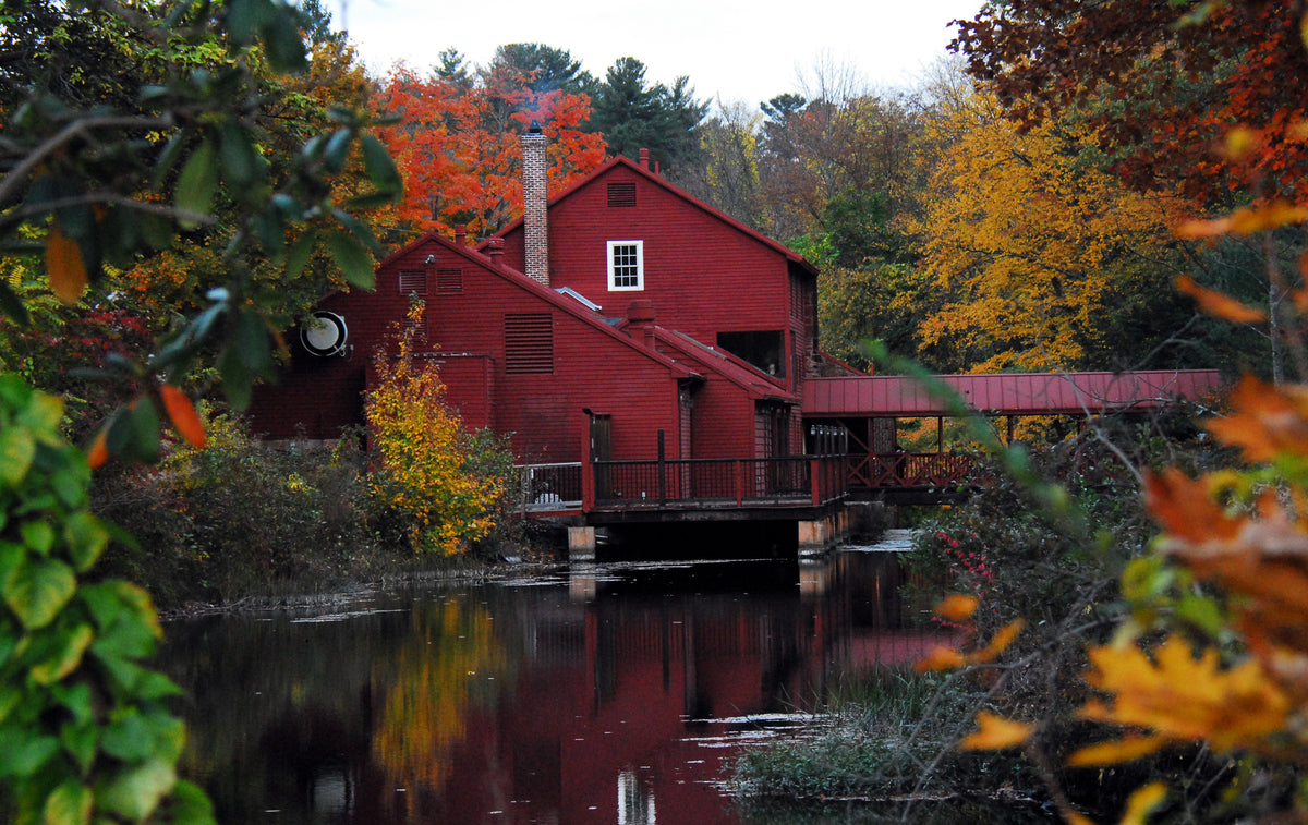Fall Colors in Historic Connecticut Wall Art