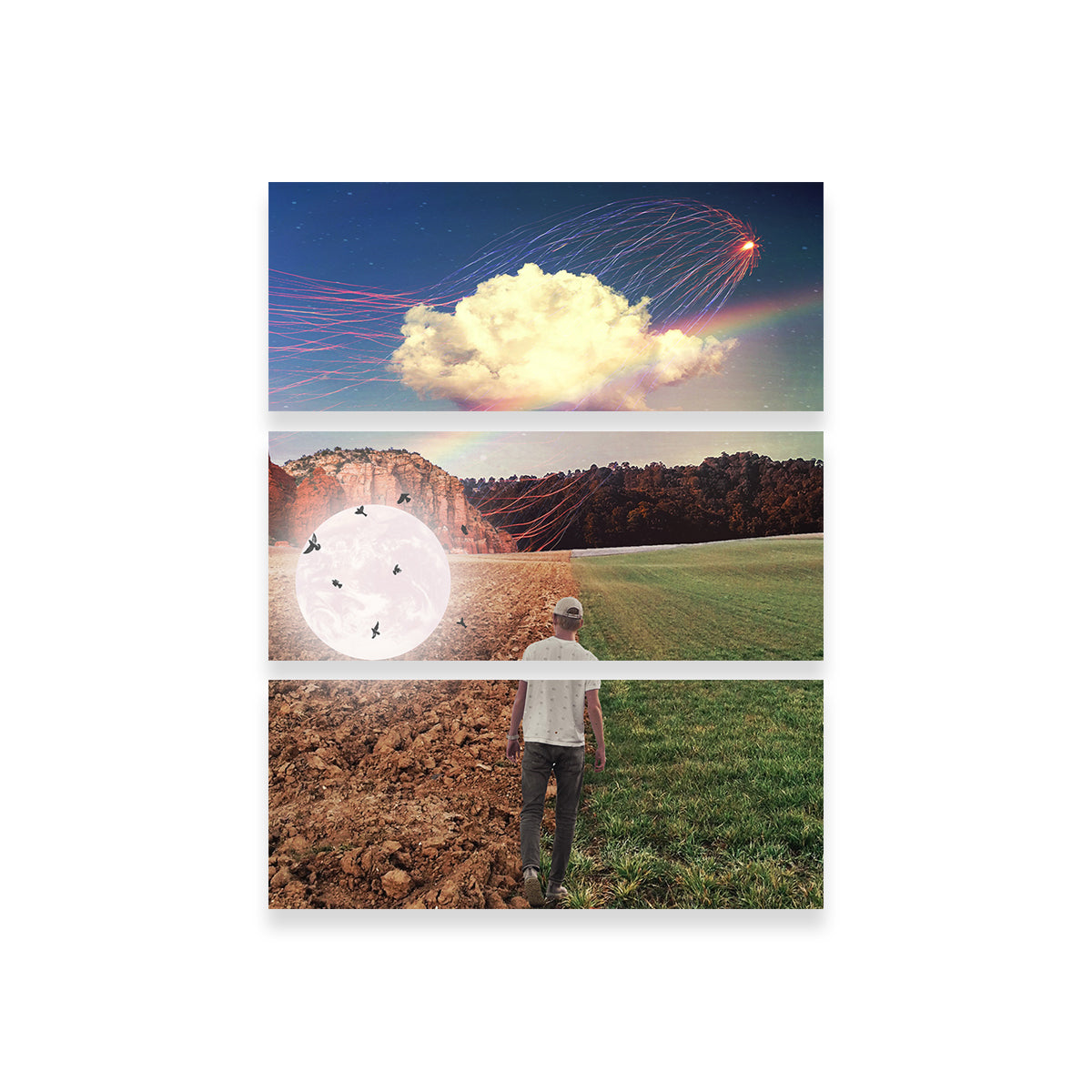 Falling Moon Birds Wall Art