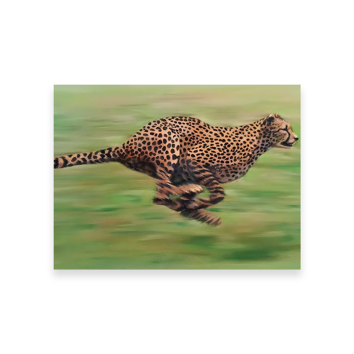 Fast Forward Wall Art