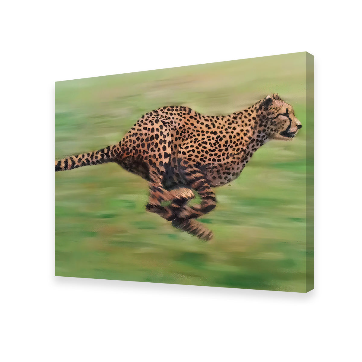 Fast Forward Wall Art