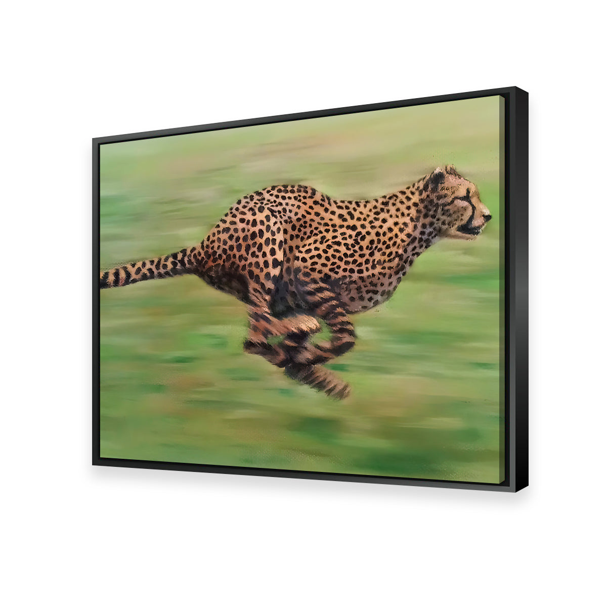 Fast Forward Wall Art