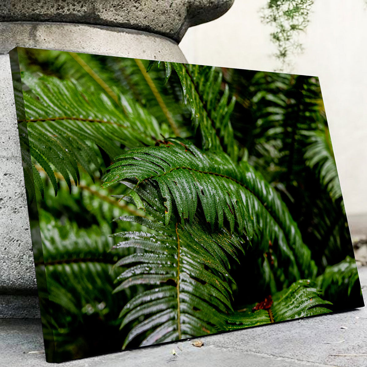 Fern Leaves Wall Art