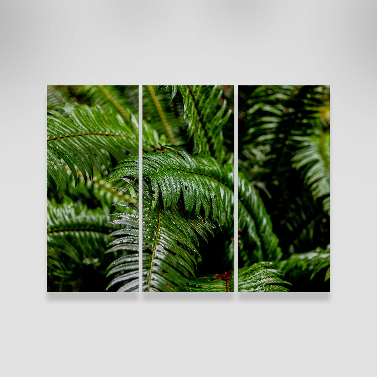 Fern Leaves Wall Art