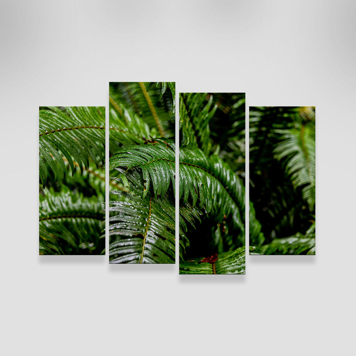 Fern Leaves Wall Art