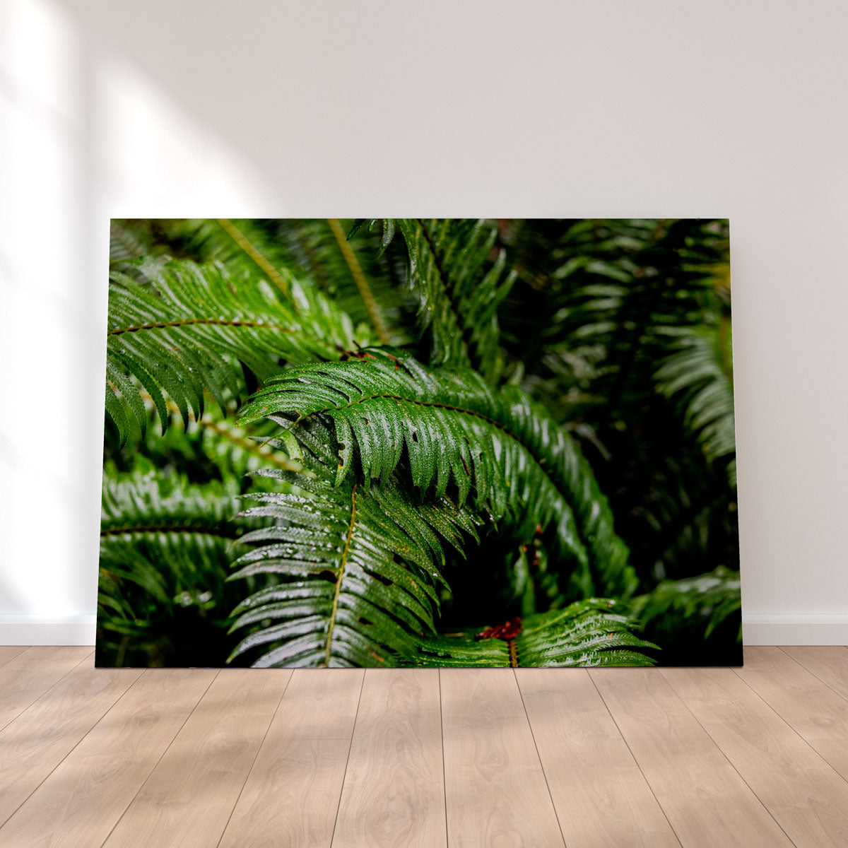 Fern Leaves Wall Art