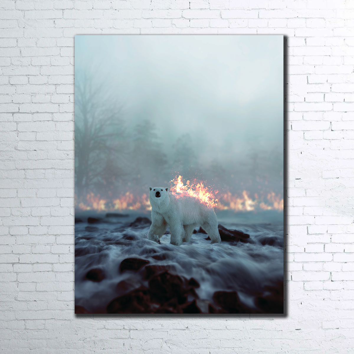 Fire and Ice Wall Art