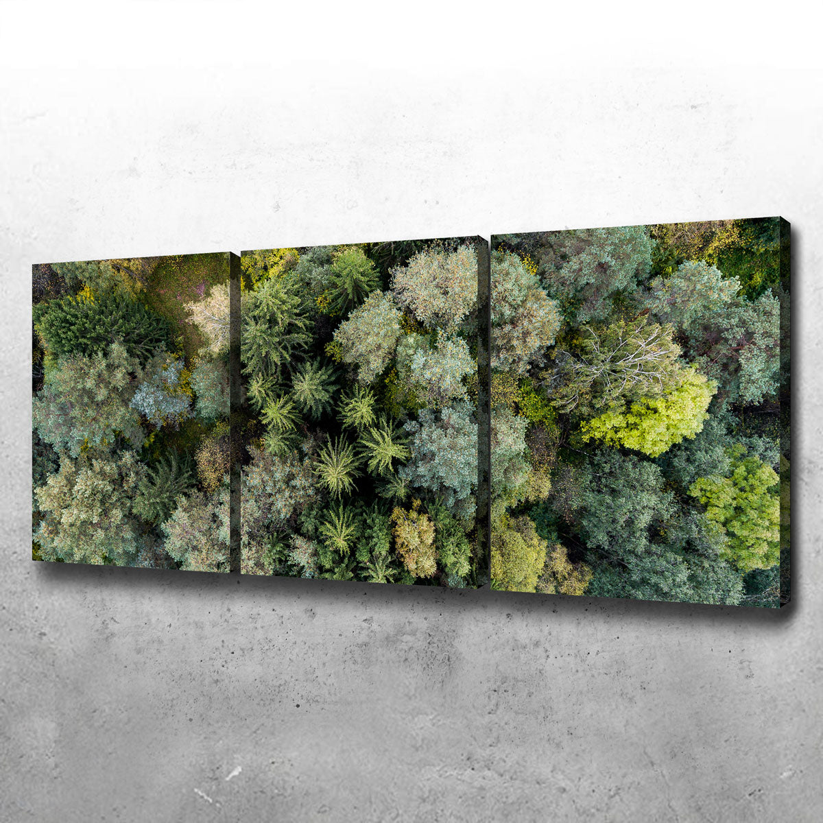 Forest From Above Wall Art