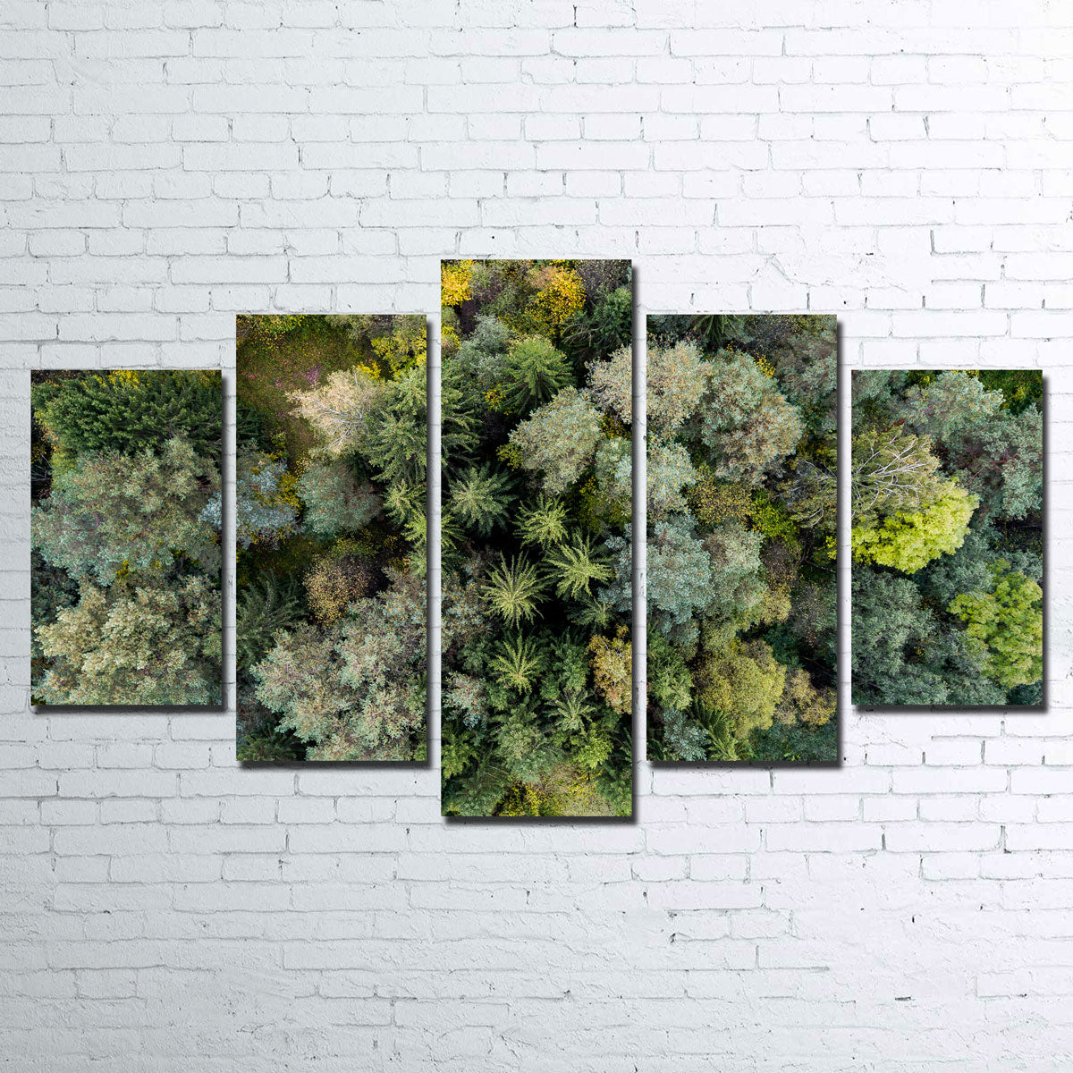Forest From Above Wall Art