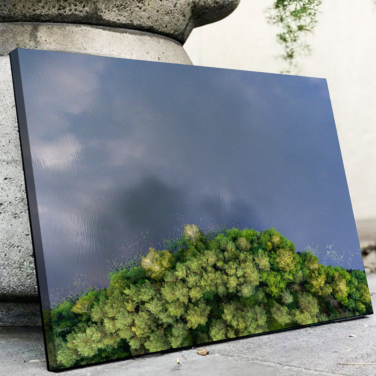 Forest Meets Water Wall Art