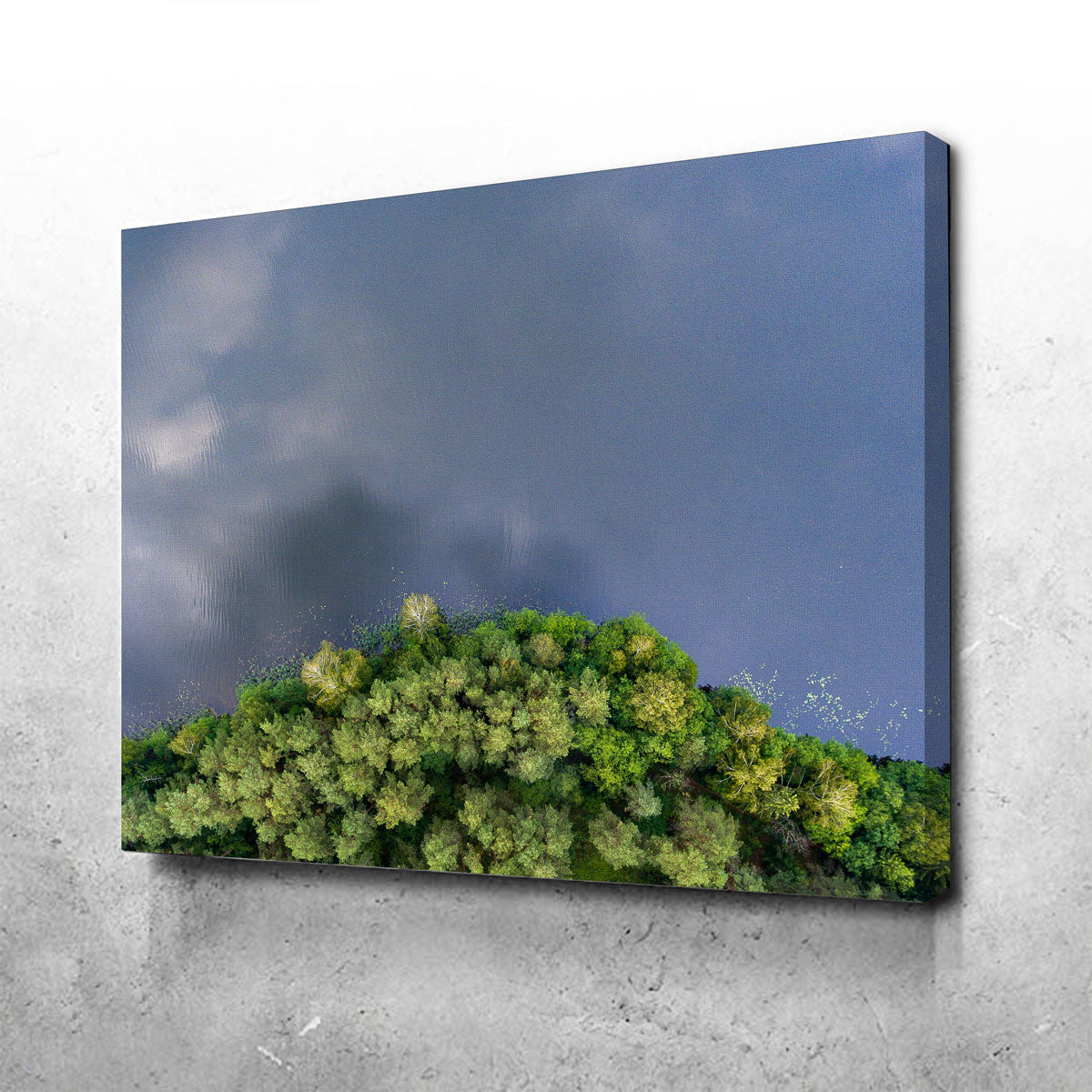 Forest Meets Water Wall Art