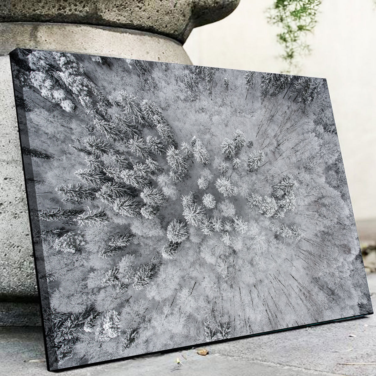 Forest Snow Wall Art