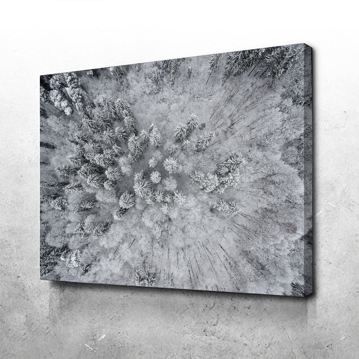 Forest Snow Wall Art