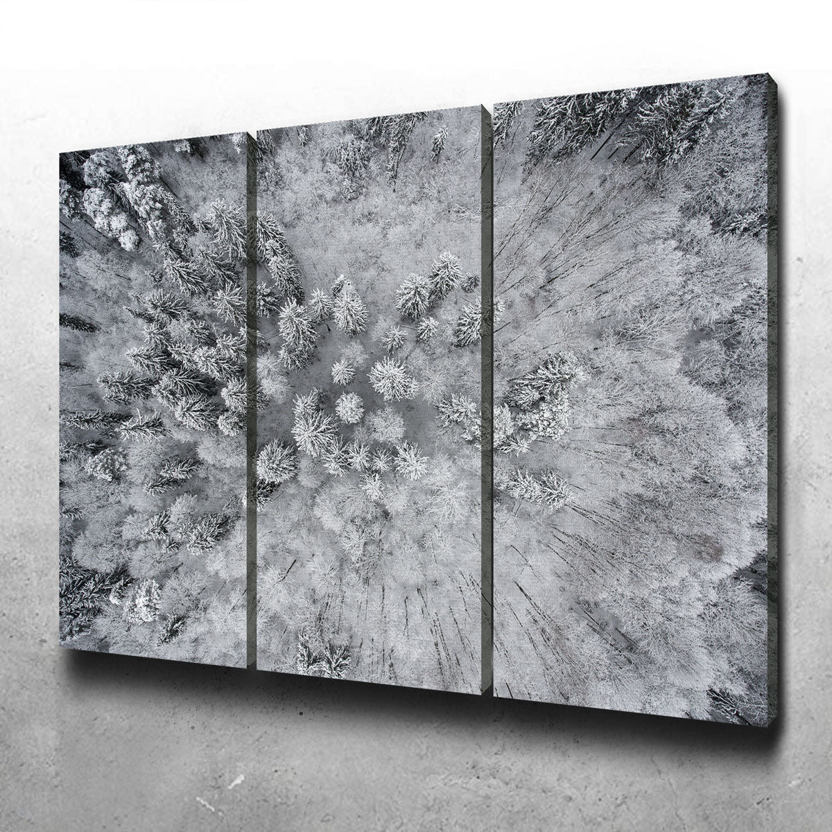 Forest Snow Wall Art