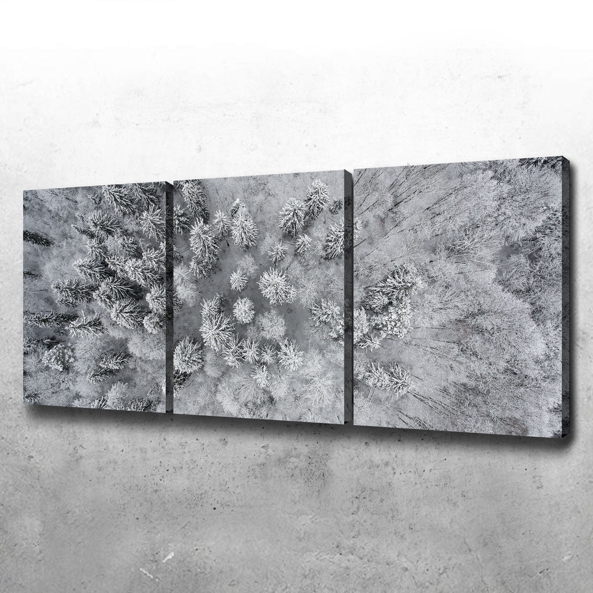 Forest Snow Wall Art
