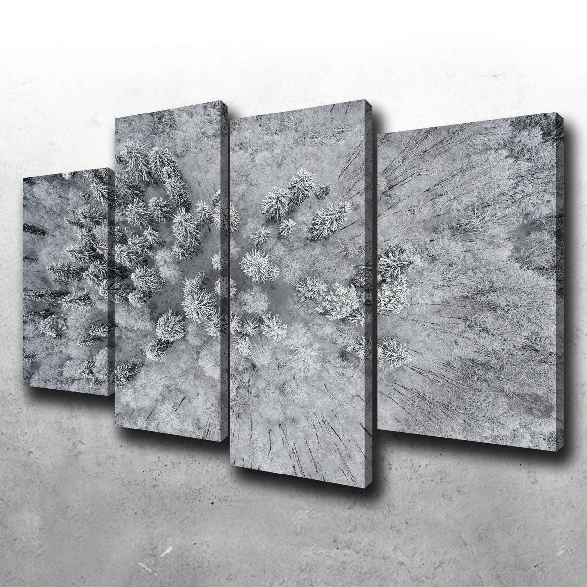 Forest Snow Wall Art