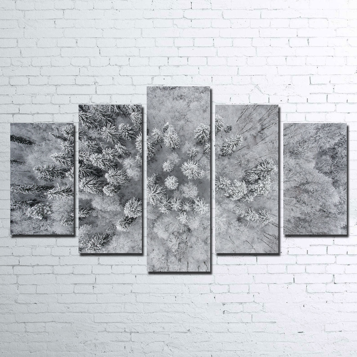 Forest Snow Wall Art