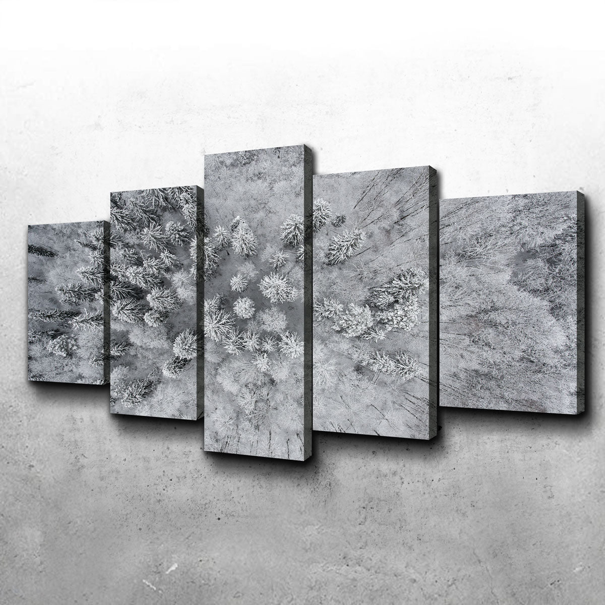 Forest Snow Wall Art