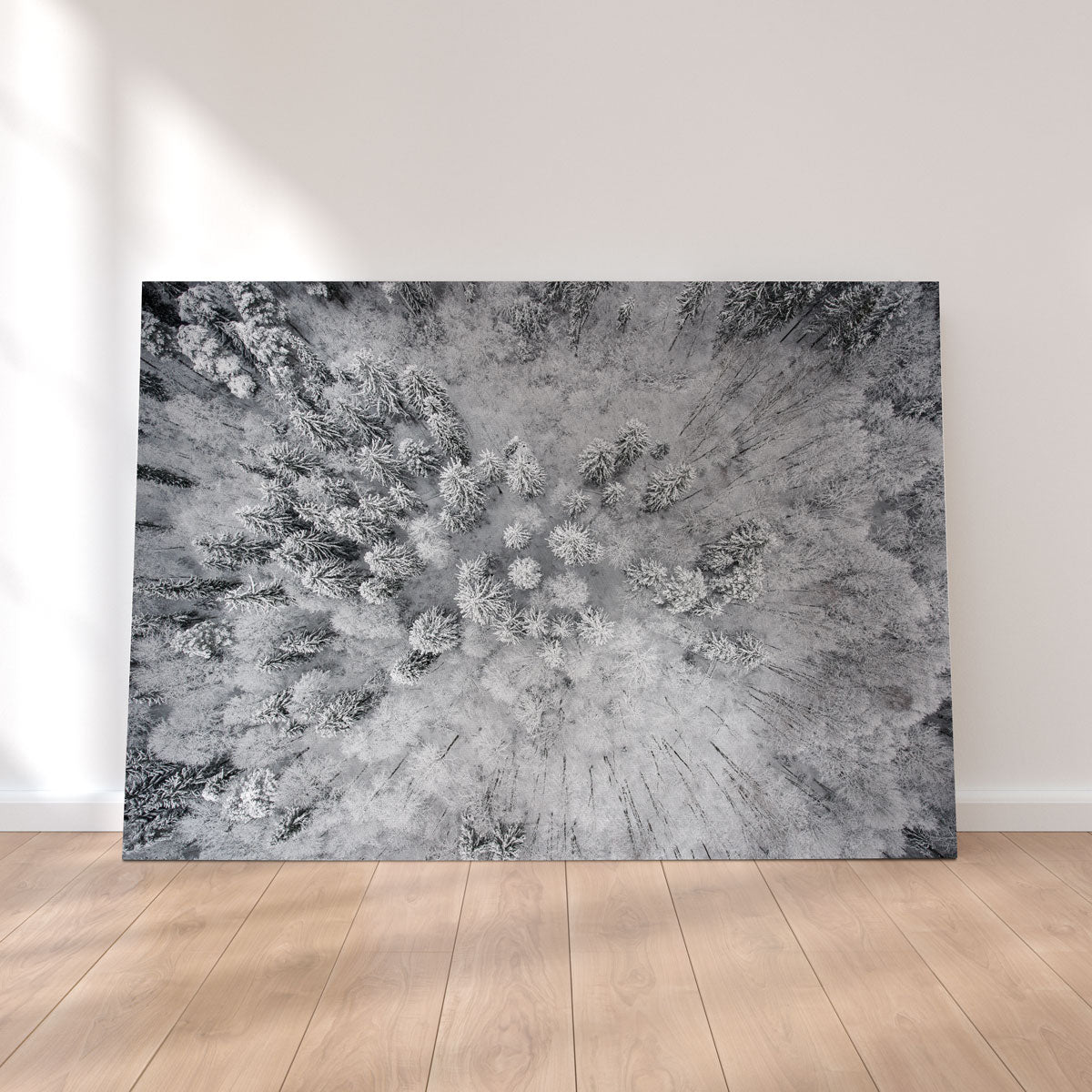 Forest Snow Wall Art