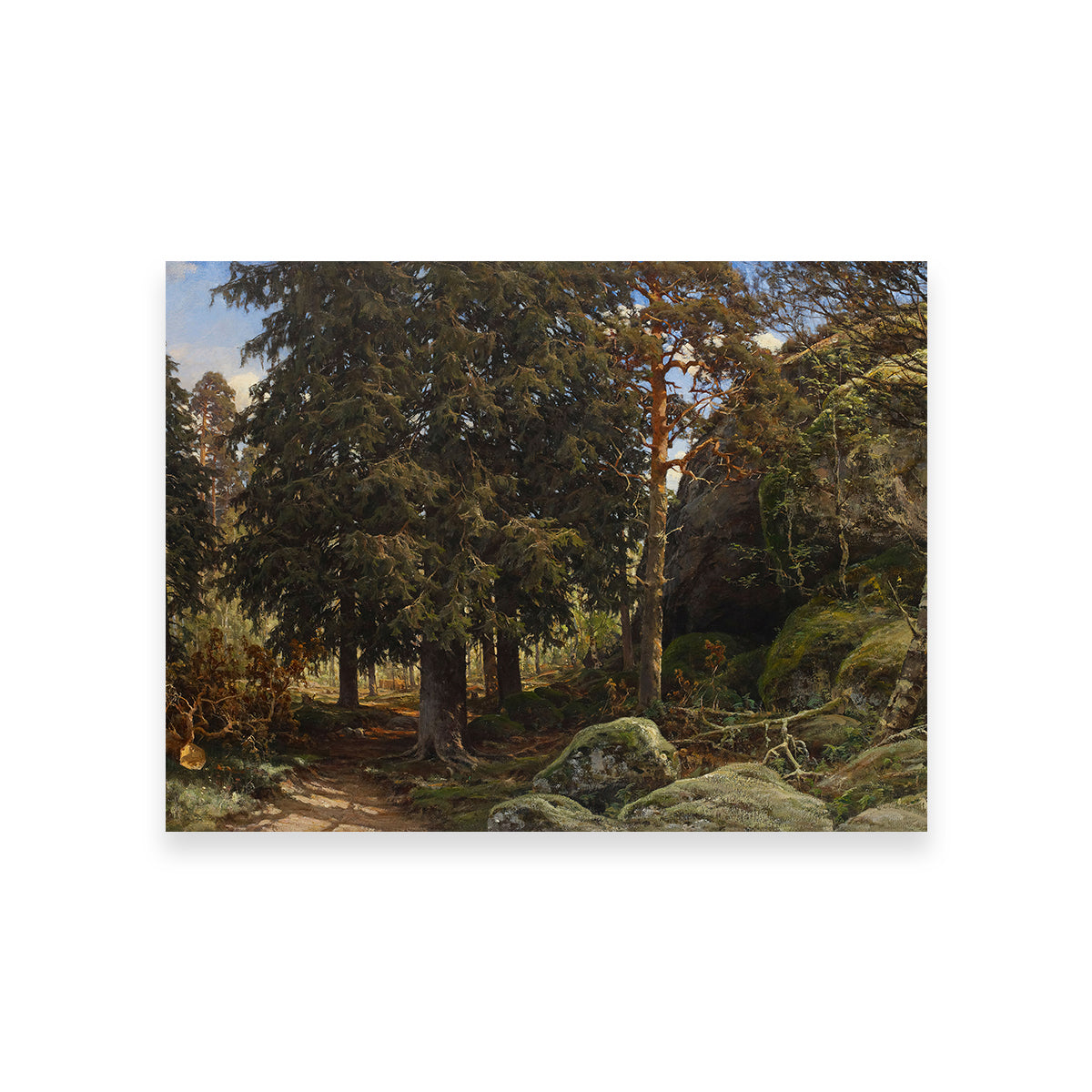 Forest Interior Wall Art