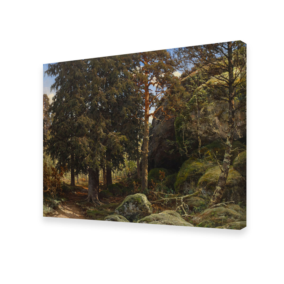 Forest Interior Wall Art