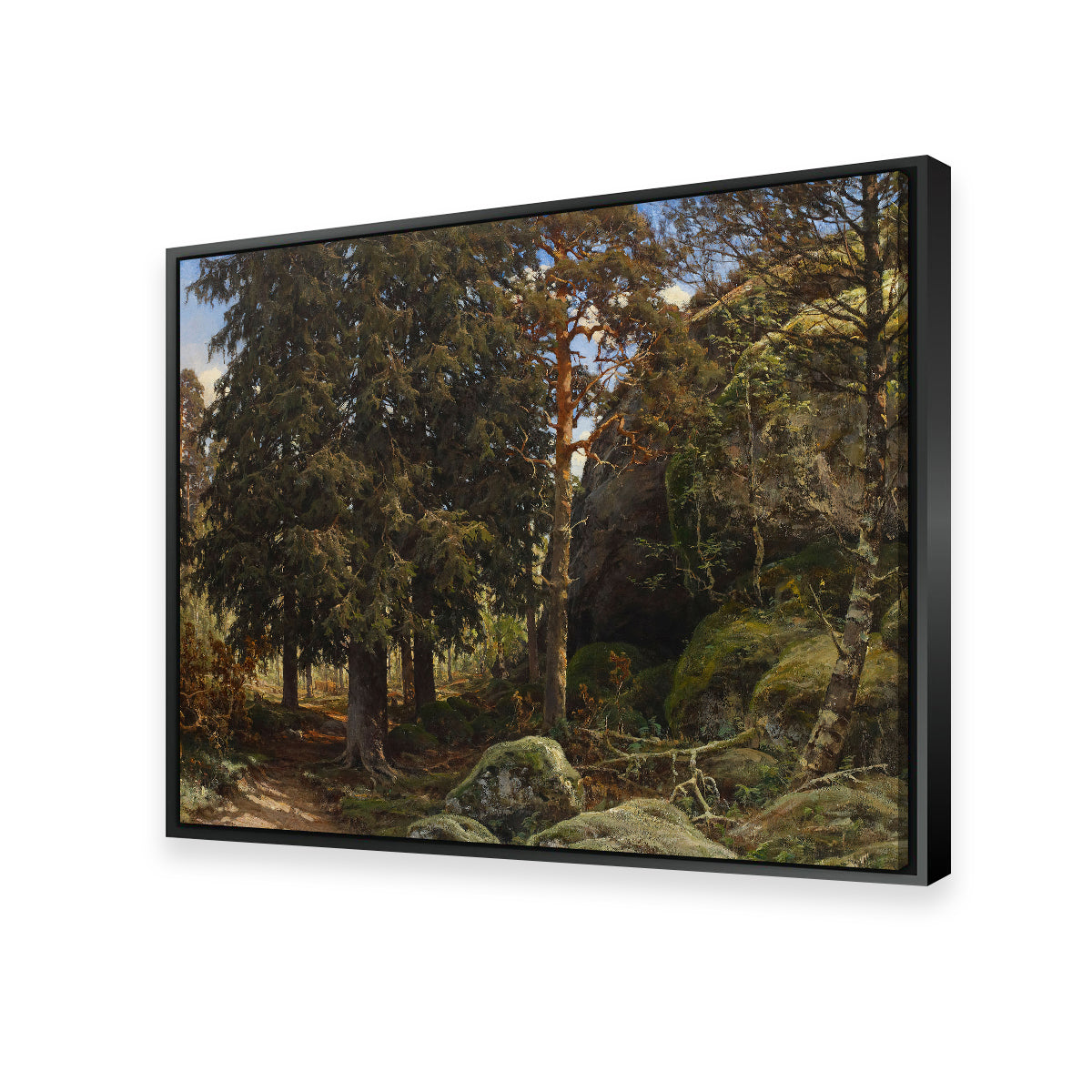 Forest Interior Wall Art