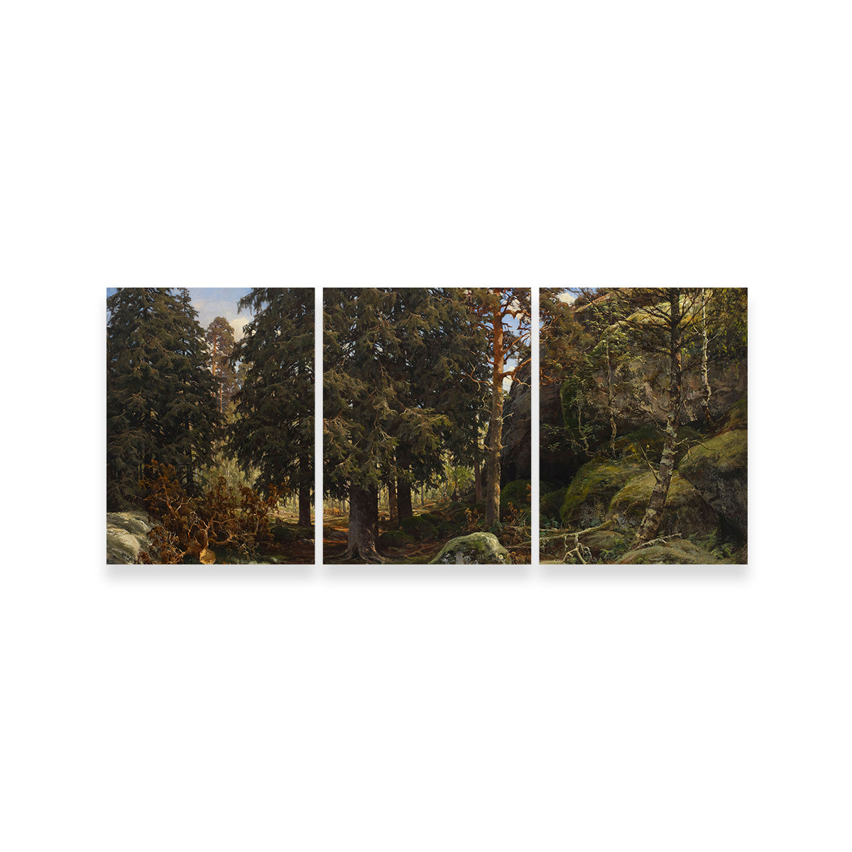 Forest Interior Wall Art