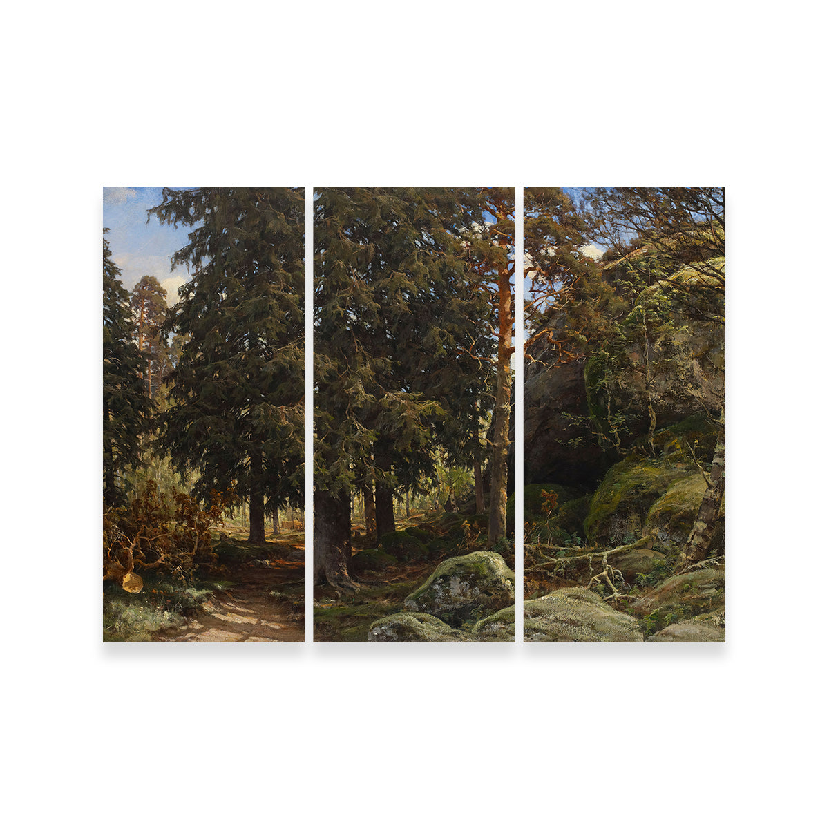 Forest Interior Wall Art