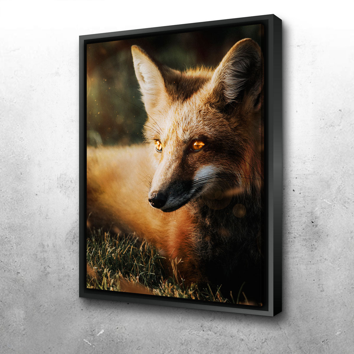 Fox Wall Art