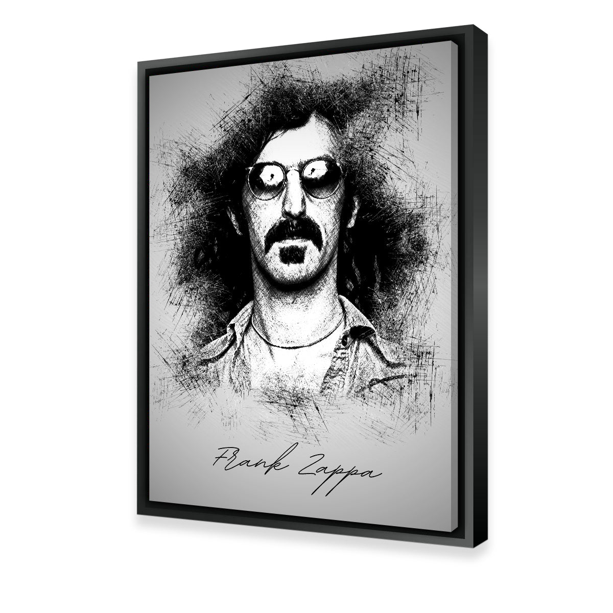 Frank Zappa Wall Art