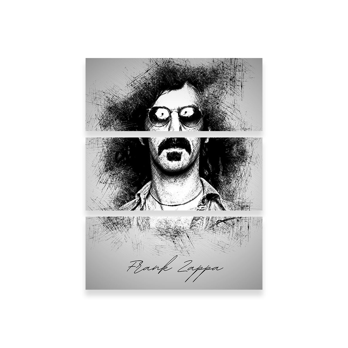 Frank Zappa Wall Art