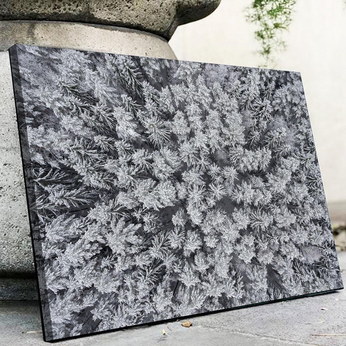 Frosted Tips Wall Art