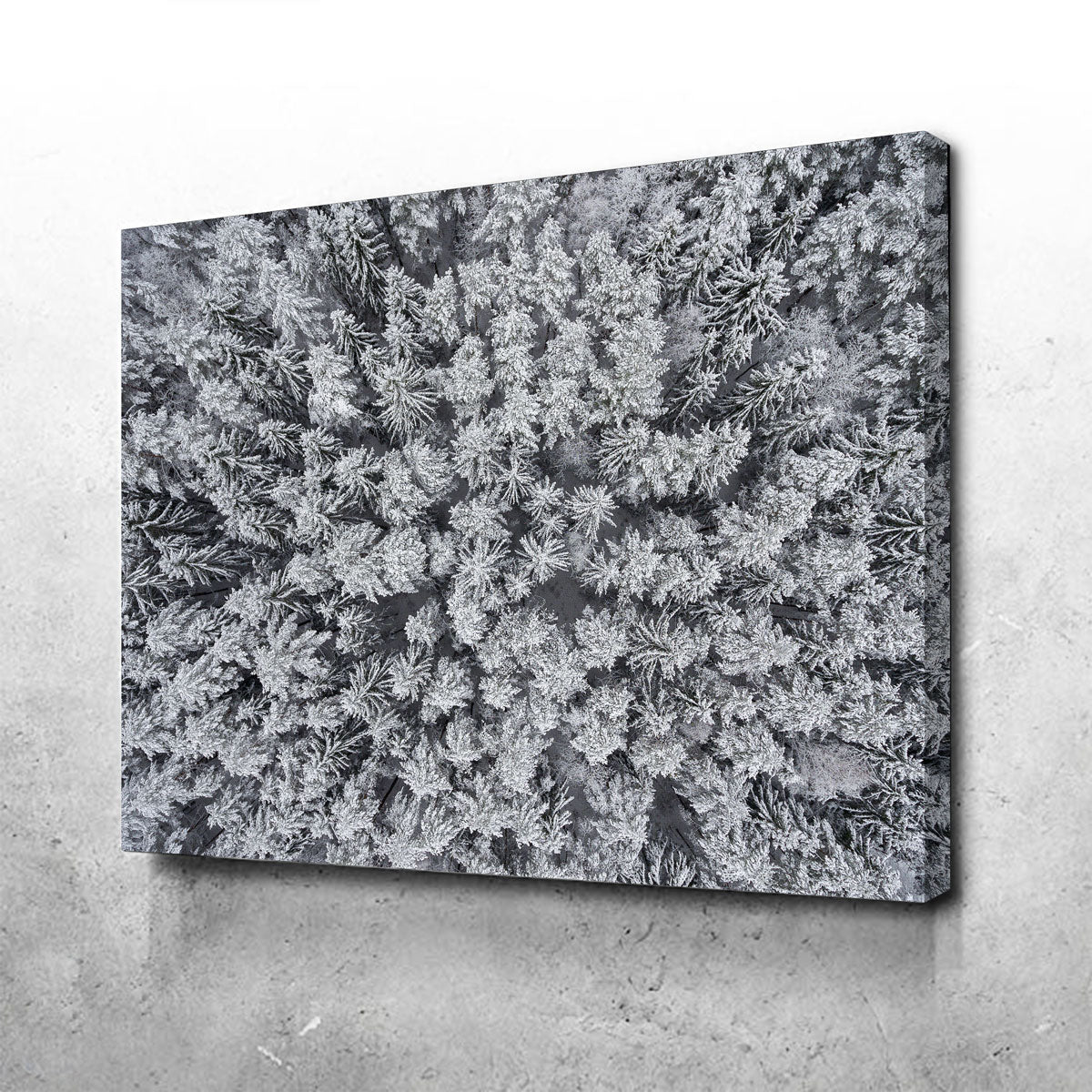 Frosted Tips Wall Art