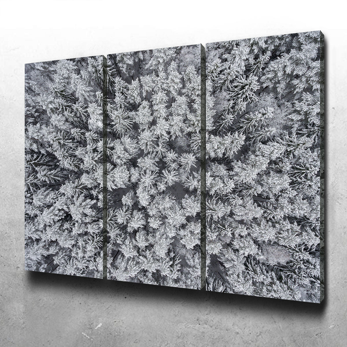 Frosted Tips Wall Art