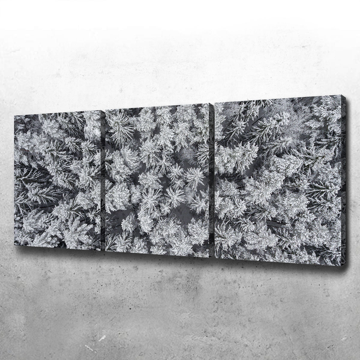 Frosted Tips Wall Art
