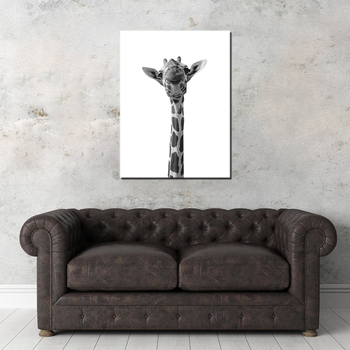Funny Giraffe Wall Art