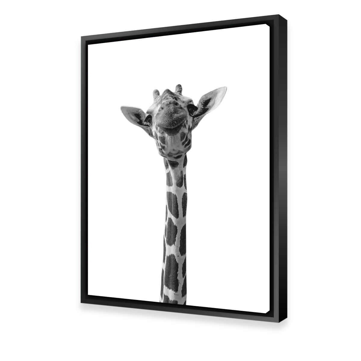 Funny Giraffe Wall Art