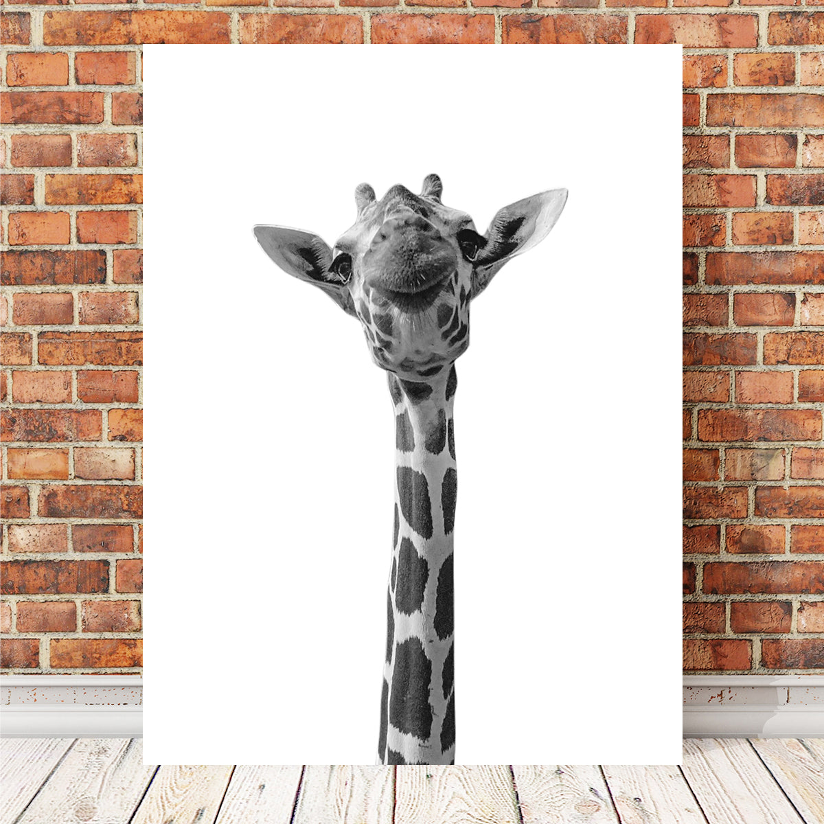 Funny Giraffe Wall Art