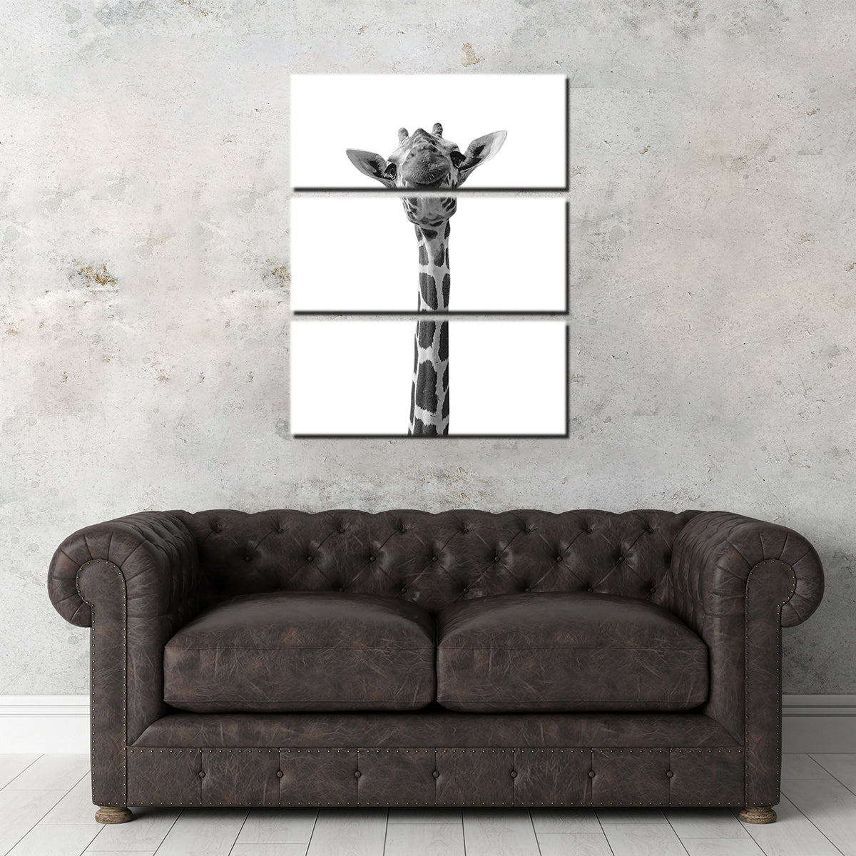 Funny Giraffe Wall Art