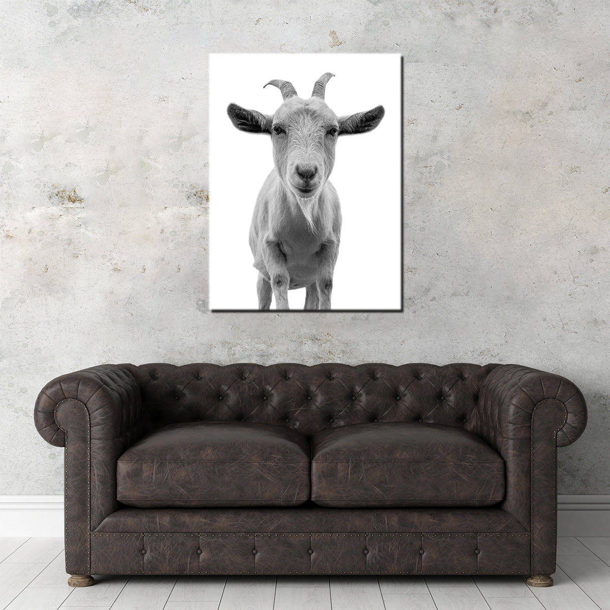 Funny Goat Wall Art