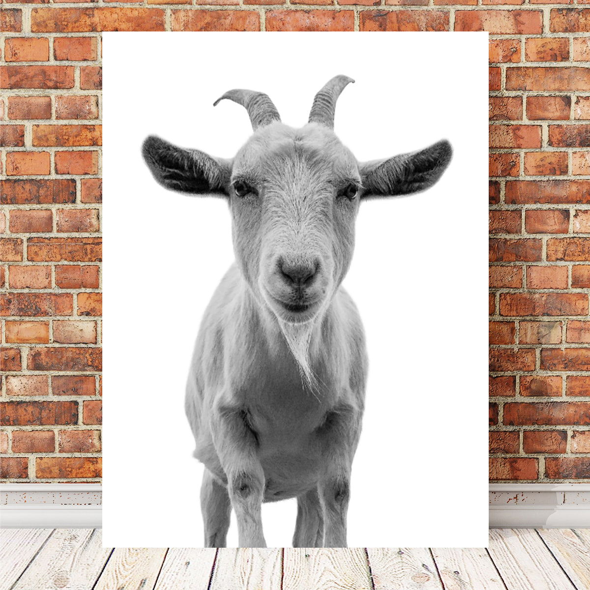 Funny Goat Wall Art
