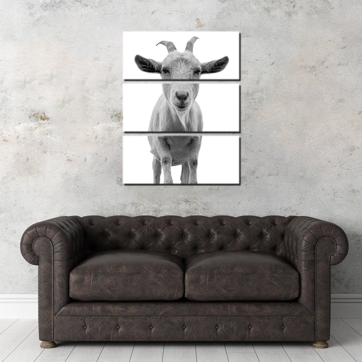 Funny Goat Wall Art