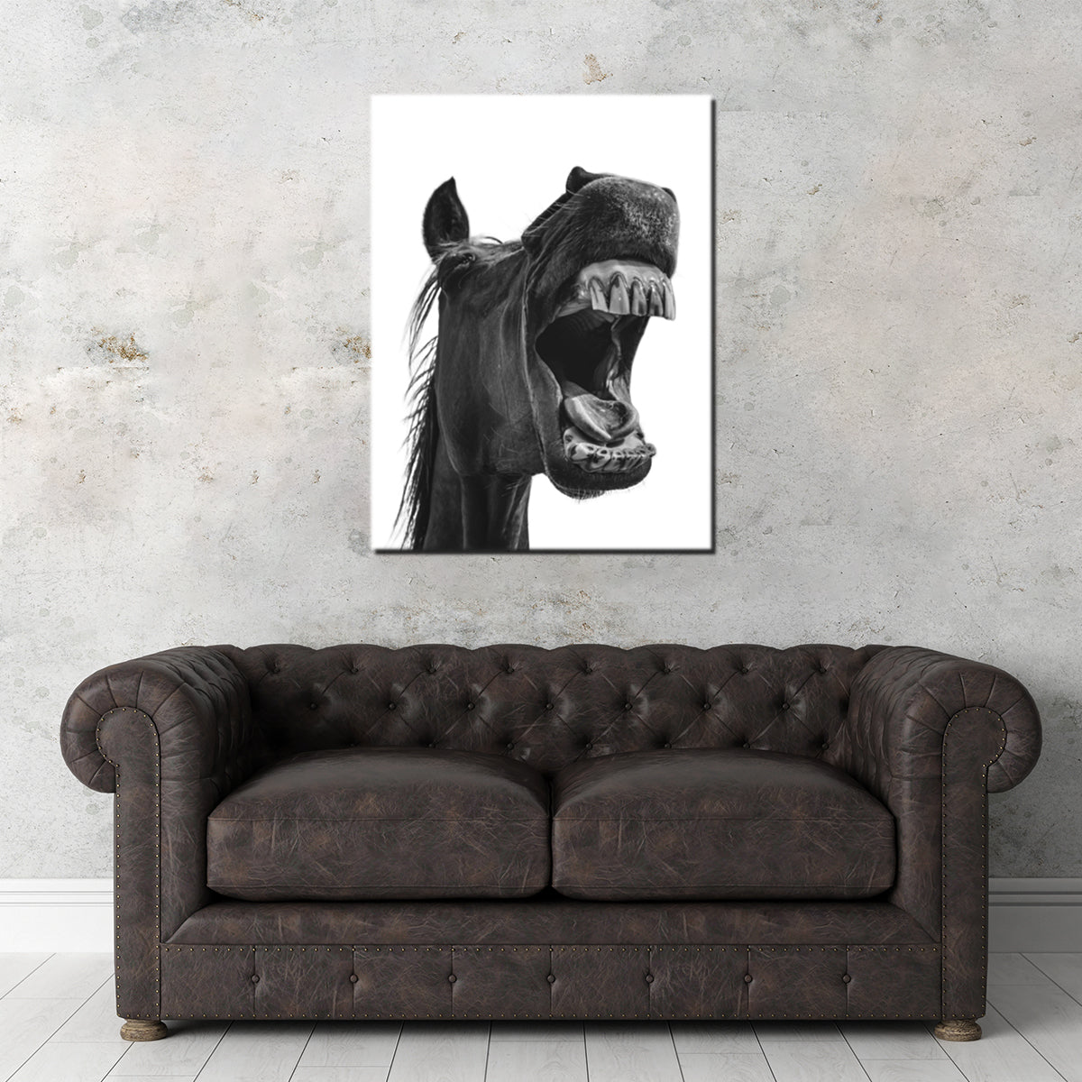 Funny Horse Wall Art