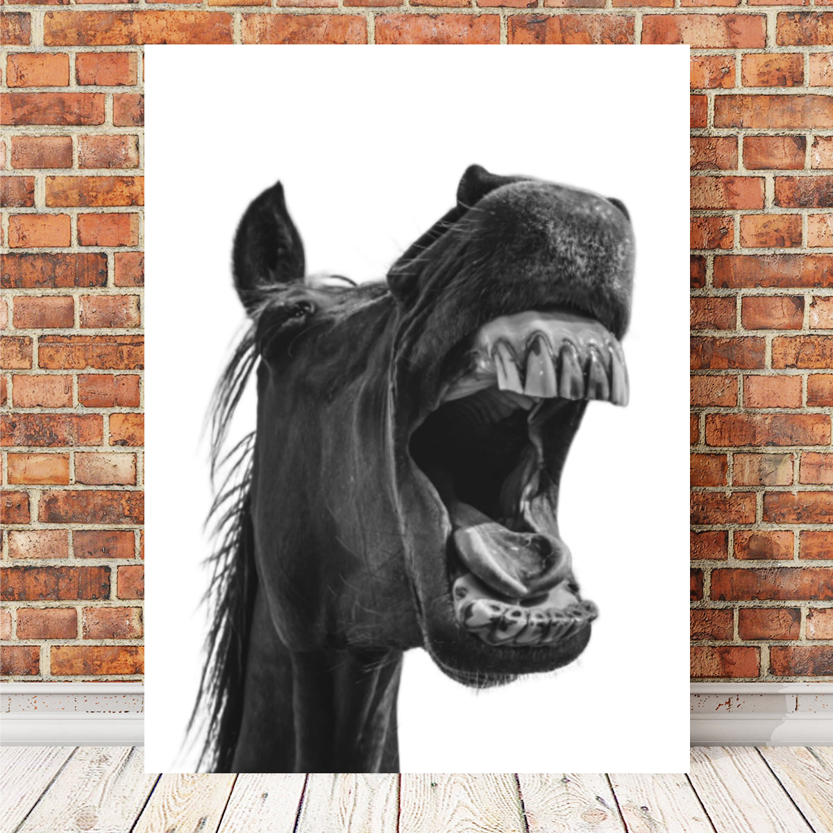 Funny Horse Wall Art