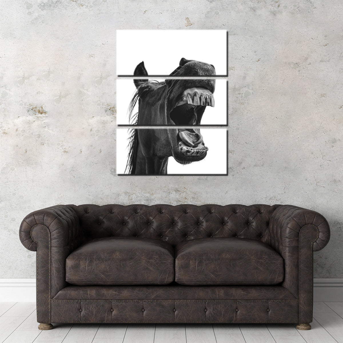 Funny Horse Wall Art