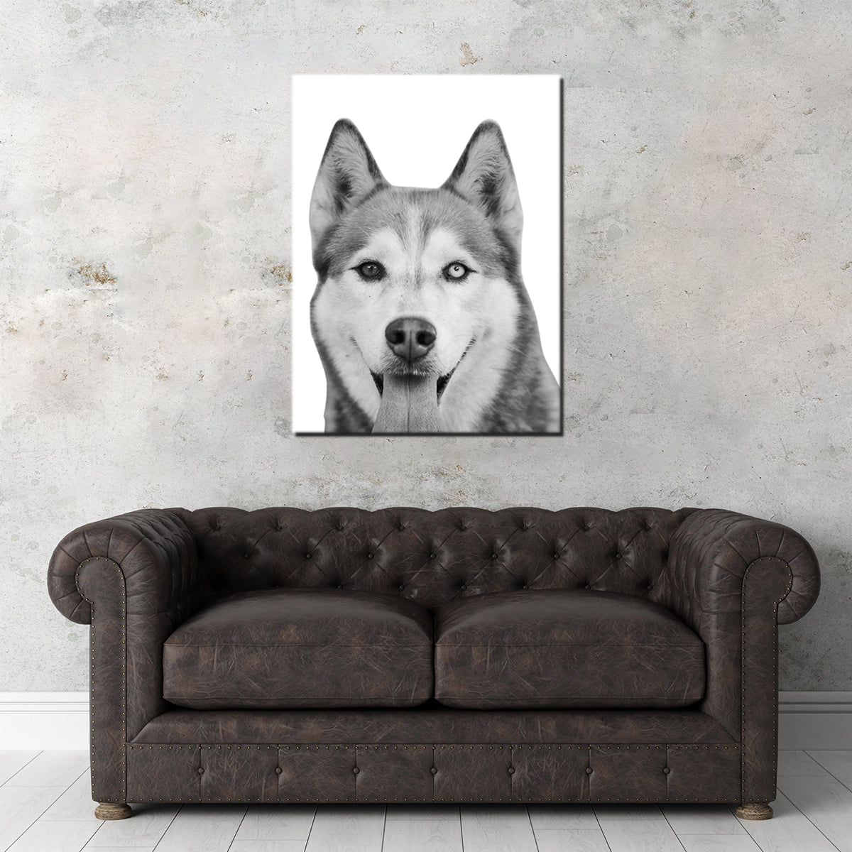 Funny Siberian Husky Wall Art