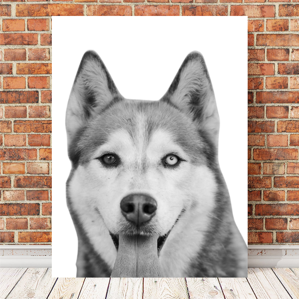 Funny Siberian Husky Wall Art